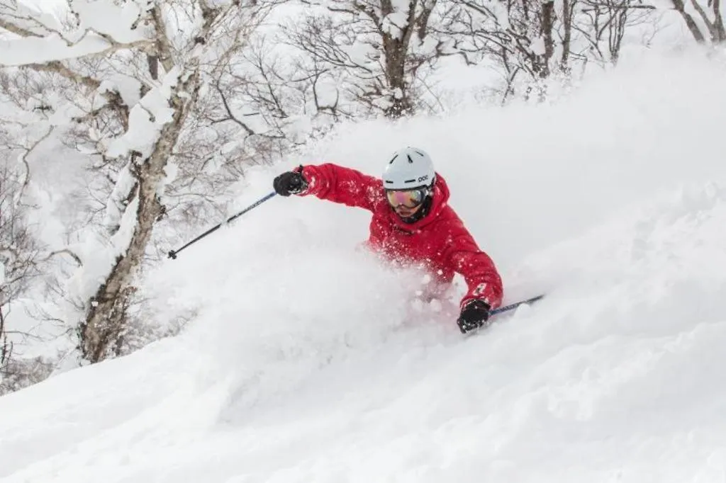 Haven Niseko Hotel