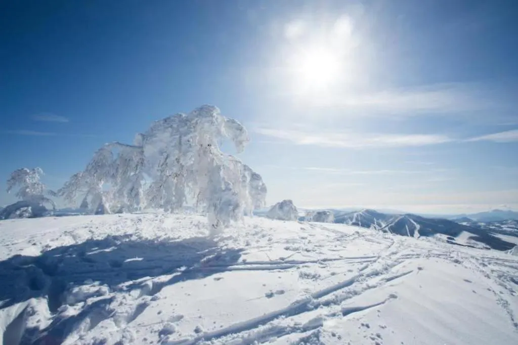 Haven Niseko Hotel